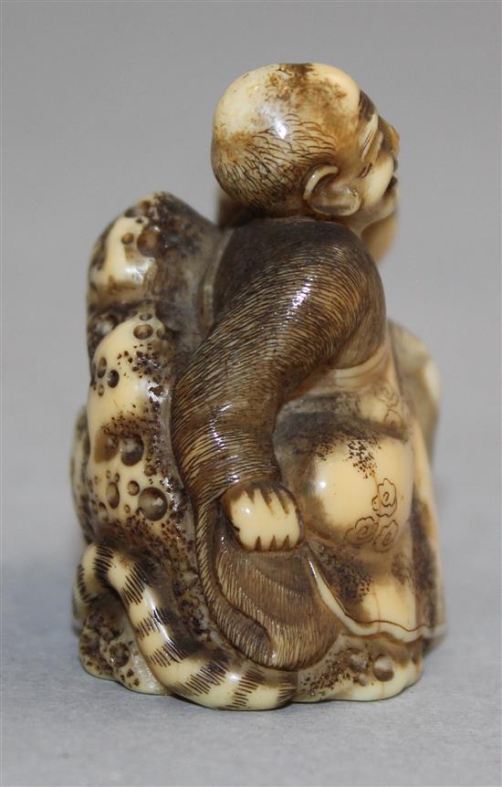 A Japanese walrus ivory netsuke of Binzuru Rakan and a tiger, Meiji period, 4.1cm